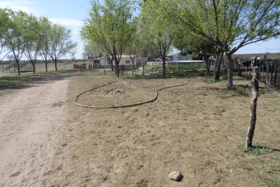 Departamento Gral Alvear, Mendoza

Cercano a ruta 143 asfaltada que une las localidades de Gral. Alvear Mendoza y Santa Isabel La Pampa